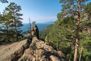 Baykal Gölü'ndeki kayalık bir uçurumun tepesindeki çam ormanı