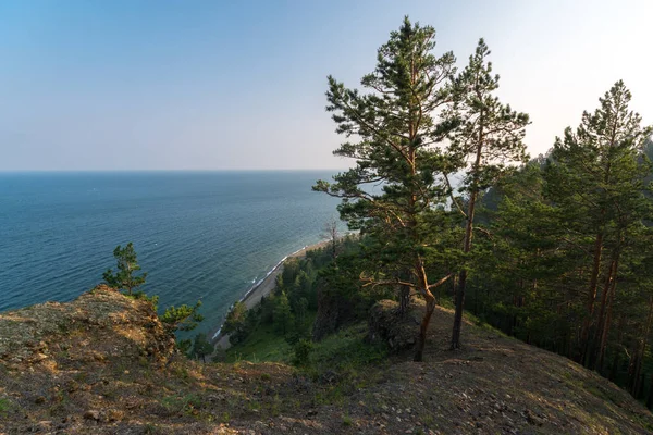 Pine forest on top of a rocky cliff on Lake Baikal — Stock Photo, Image