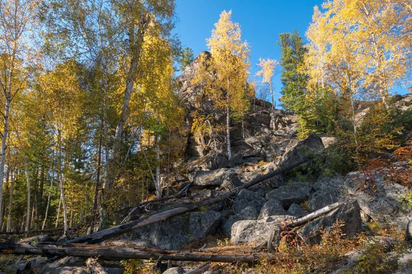 Sten blockeringar i höst skogen — Stockfoto