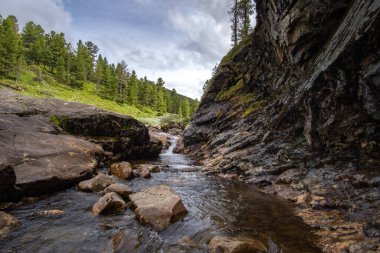Khamar-Daban dağlarındaki vadide.