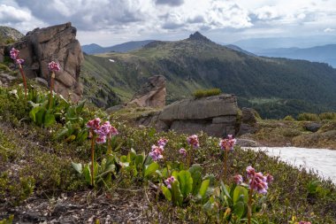 Khamar-Daban dağ sırasının kayalık zirveleri