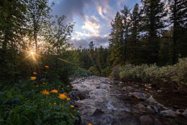 Bir dağ nehrinin kıyısında gün batımı