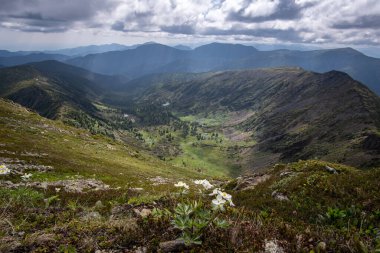 Hamar-Daban dağlarındaki güzel vadi