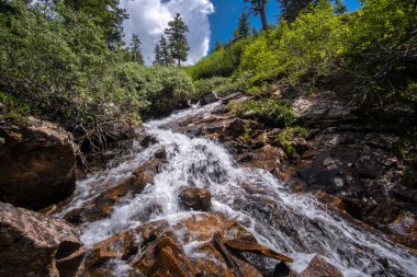 Sibirya Taygası 'ndaki dağ deresi