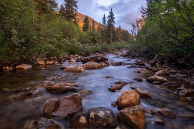 Sibirya Ormanı 'nda nehir kıyısında bir yaz akşamı