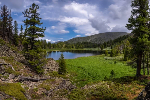 Lago Nella Foresta Circondato Montagne — Foto Stock