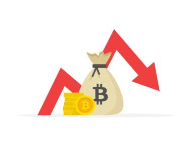 Finansal göstergeler, bitcoin'deki iş performansı, istatistik raporu, yatırım fonu, yatırım getirisi, finansal konsolidasyon, planlama ve bütçe yönetimi, kavram büyümeye düşüyor.