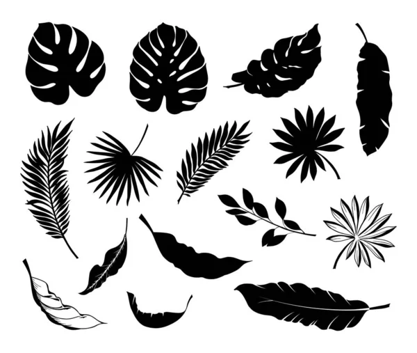 Set of Tropical leaves. Collection black leaves palm, fan palm, banana leaves. Vector illustration. — Stock Vector