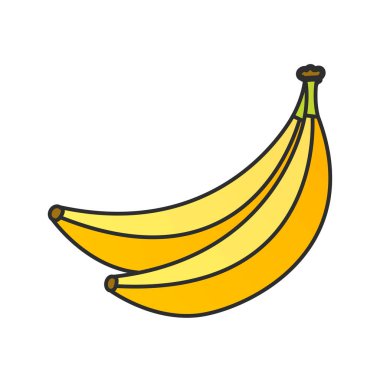 Yaz meyve koleksiyonu. Meyvemuz. Vejetaryen ve ekoloji gıda. Vektör çizimi.