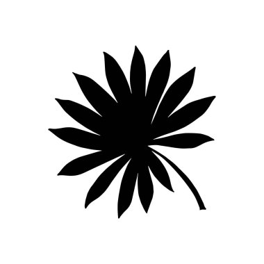 Tropik yapraklar. Siyah yaprakları palmiye, fan palmiye, muz yaprakları. Vektör çizimi.