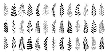 Kara Şöhret Dalları. Çiçek süsü ayırıcı koleksiyonu. Antika defne çelenkleri. El yapımı Laurel vektörü dekoratif elementler bırakır. Yapraklar, girdaplar, süsler, ödül, ikon. Vektör illüstrasyonu