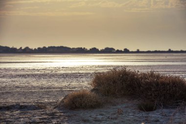 Batan güneşin altındaki kuru, çatlamış toprak ve seyrek bitki örtüsüyle Alike Salt Lake, Kos, Yunanistan