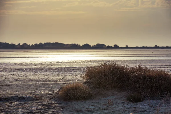 Batan güneşin altındaki kuru, çatlamış toprak ve seyrek bitki örtüsüyle Alike Salt Lake, Kos, Yunanistan