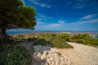 Ağaçlı ve Mavi Gök 'lü Rocky Kıyı Çizgisi Manzarası
