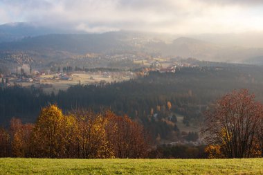 Sonbahar dağ manzarası ve şafak vakti sisli ve güneşli huzurlu manzara, Beskid, Polonya, arka plan veya fotoğraf duvar kağıdı