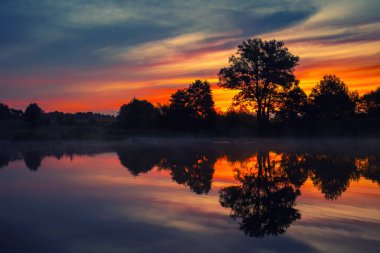 Siluetli ağaçlar ve sudaki yansıma ile sakin nehrin üzerinde gün doğumu, Polonya