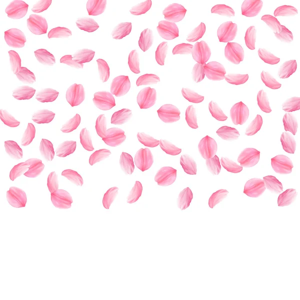 Sakura πέταλα που πέφτουν. Ρομαντικό ροζ μεταξένια μεσαία λουλούδια. Αραιή Πετώντας πέταλα κεράσι. — Διανυσματικό Αρχείο
