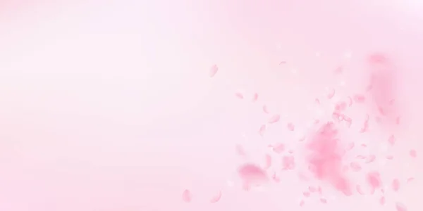 Сакура пелюстки падають. Романтичний рожеві квіти вибух. Летить пелюстки рожевого широкому тлі. — стоковий вектор