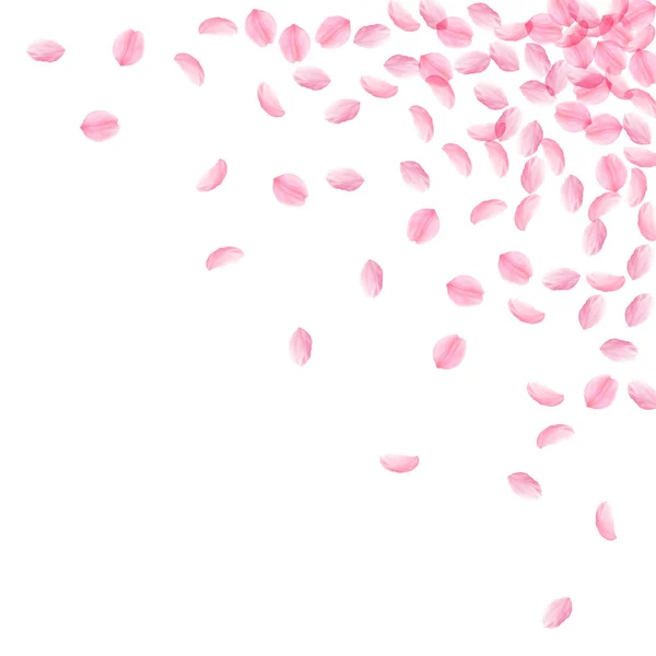 Сакура пелюстки падають. Романтичний рожеві шовковистою середнього квіти. Товсті літаючих Вишневе пелюсток. — стоковий вектор