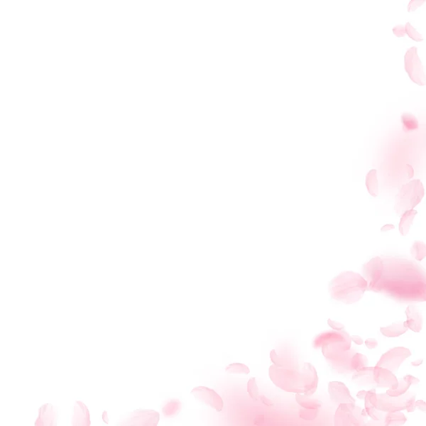 桜の花びらが落ちてきた。ロマンチックなピンクの花のコーナー。白い四角形の背景に空飛ぶ花弁. — ストックベクタ