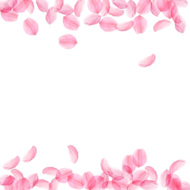 Sakura yaprakları aşağı düşen. Romantik pembe ipek gibi büyük çiçekler. Kalın uçan kiraz yaprakları. Kenarlıklar app