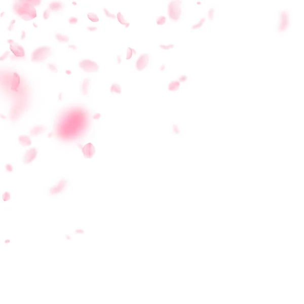 Sakura szirmok hullanak le. Romantikus rózsaszín virágos sarok. Repülő szirmok fehér négyzet háttér. — Stock Vector