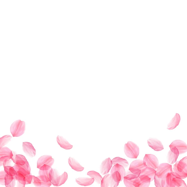 Лепестки Сакуры падают. Романтические розовые шелковистые большие цветы. Толстые летающие лепестки вишни. Квадратный бот — стоковый вектор