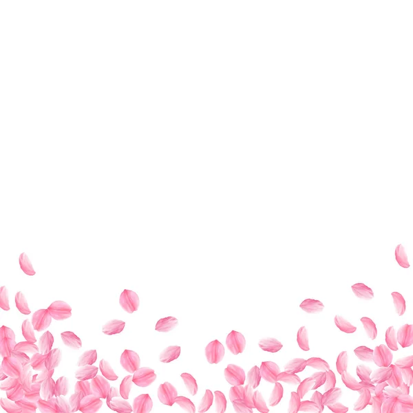Pétalas Sakura a cair. Rosa romântico flores médias brilhantes. Pétalas de cereja voadoras grossas. Quadrado —  Vetores de Stock