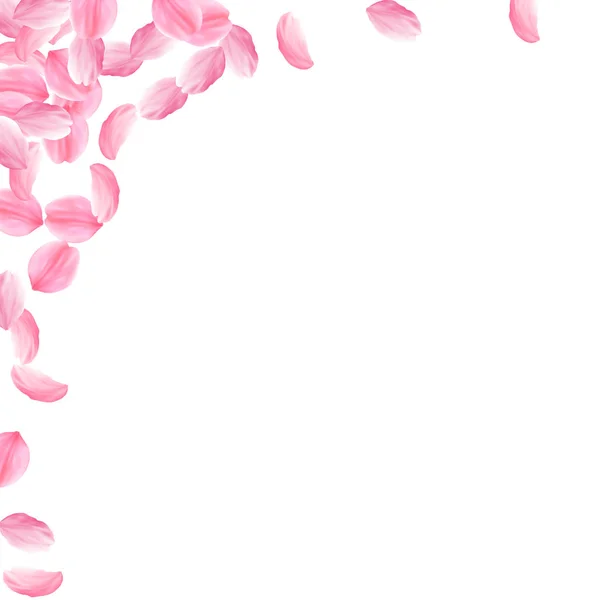 Лепестки Сакуры падают. Романтические розовые яркие большие цветы. Толстые летающие лепестки вишни. Квадратный леф — стоковый вектор