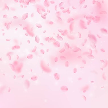 Sakura yaprakları aşağı düşen. Romantik pembe çiçekler degrade. Pembe kare zemin üzerinde uçan yaprakları.