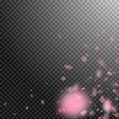 Sakura yaprakları aşağı düşen. Romantik pembe çiçekler köşesi. Şeffaf kare backgr üzerinde uçan yaprakları
