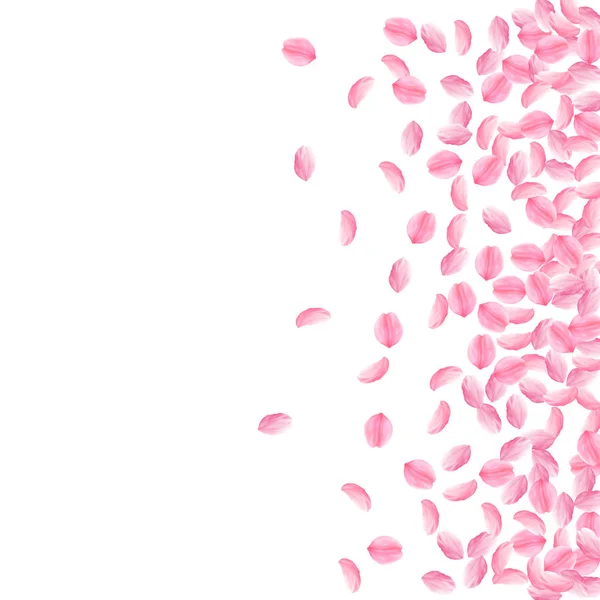 Pétalos Sakura cayendo. Romántico rosa brillante flores medianas. Pétalos de cereza voladores gruesos. Dispersión — Vector de stock