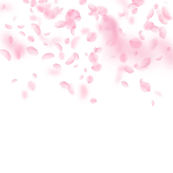 Sakura petals falling down. Romantic pink flowers gradient. Flying petals on white square background — Stock Vector