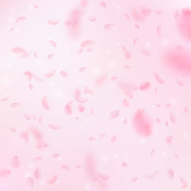 Sakura yaprakları aşağı düşen. Yağmurun romantik pembe çiçekler. Pembe kare backgro üzerinde uçan yaprakları