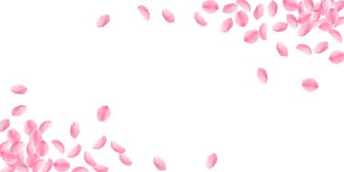 Sakura petals falling down. Romantic pink bright big flowers. Thick flying cherry petals. Wide corne clipart