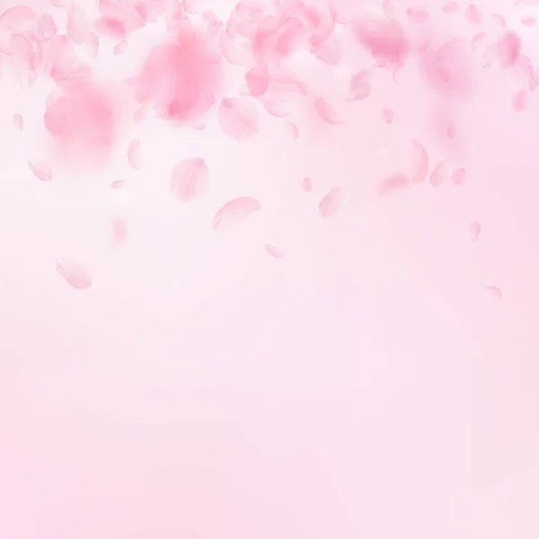 Pétalas Sakura a cair. Gradiente de flores rosa romântico. Pétalas voadoras sobre fundo quadrado rosa . — Vetor de Stock