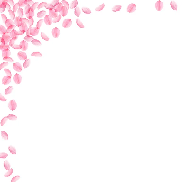 Сакура пелюстки падають. Романтичний рожеві шовковистою середнього квіти. Товсті літаючих Вишневе пелюсток. Квадратний l — стоковий вектор