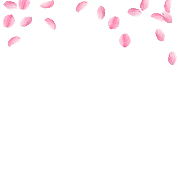 Лепестки Сакуры падают. Розовые шелковистые средние цветки. Летающие вишневые лепестки. Площадь — стоковый вектор