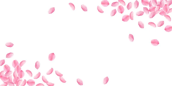 Sakura petals falling down. Romantic pink bright big flowers. Thick flying cherry petals. Wide corne — Stock Vector