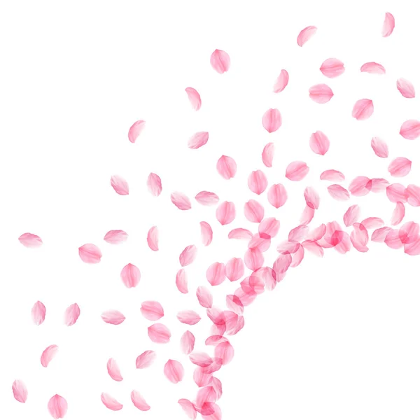 Лепестки Сакуры падают. Розовые шелковистые средние цветки. Толстые летающие лепестки вишни. Радиант — стоковый вектор