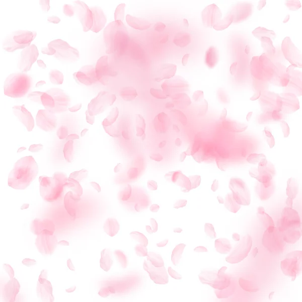Sakura bloemblaadjes vallen. Romantische roze bloemen vallende regen. Vliegende bloemblaadjes op witte vierkante backgr — Stockvector
