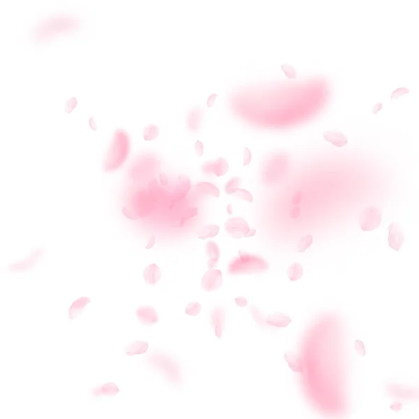 Sakura petals falling down. Romantic pink flowers explosion. Flying petals on white square backgroun — Stock Vector