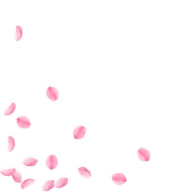 Sakura yaprakları aşağı düşen. Romantik pembe ipeksi orta çiçekler. Seyrek kiraz yaprakları uçan. Dağılım