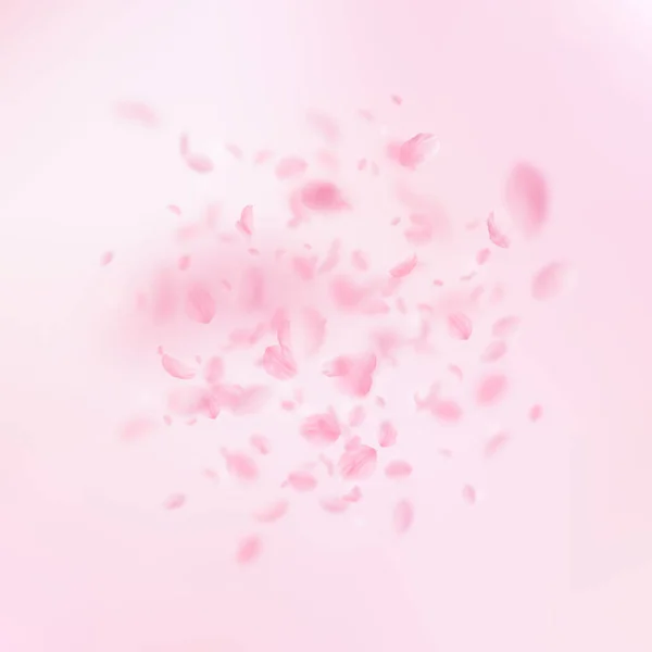 Sakura bloemblaadjes vallen. Romantische roze bloemen explosie. Vliegende bloemblaadjes op roze vierkante achtergrond — Stockvector