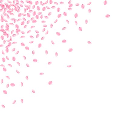 Sakura yaprakları aşağı düşen. Romantik pembe ipek gibi küçük çiçekler. Kalın uçan kiraz yaprakları. Dağınık