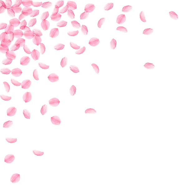 Сакура пелюстки падають. Романтичний рожеві шовковистою середнього квіти. Товсті літаючих Вишневе пелюсток. Scattere — стоковий вектор