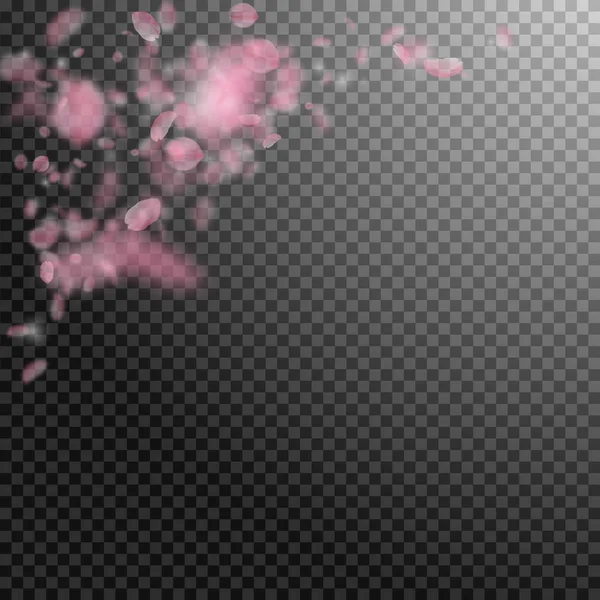 樱花花瓣落下。浪漫的粉红色花角。透明方形 backgr 上的飞花瓣 — 图库矢量图片