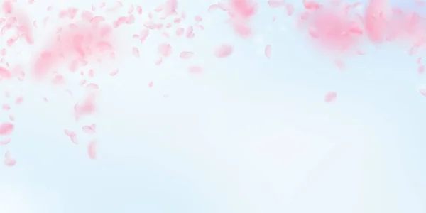 Sakura πέταλα που πέφτουν. Ρομαντικό ροζ λουλούδια που πέφτουν βροχή. Φέρουν πέταλα στο ευρύ backg μπλε του ουρανού — Διανυσματικό Αρχείο