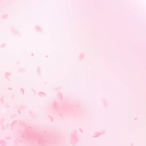 Pétalos Sakura cayendo. Rincón de flores rosas románticas. Pétalos voladores sobre fondo cuadrado rosado. L — Vector de stock