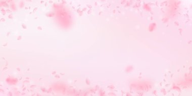 Sakura petals falling down. Romantic pink flowers vignette. Flying petals on pink wide background. L clipart
